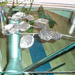 Edelstahldesign von Veit und Shne GmbH